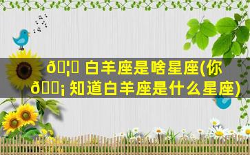 🦍 白羊座是啥星座(你 🐡 知道白羊座是什么星座)